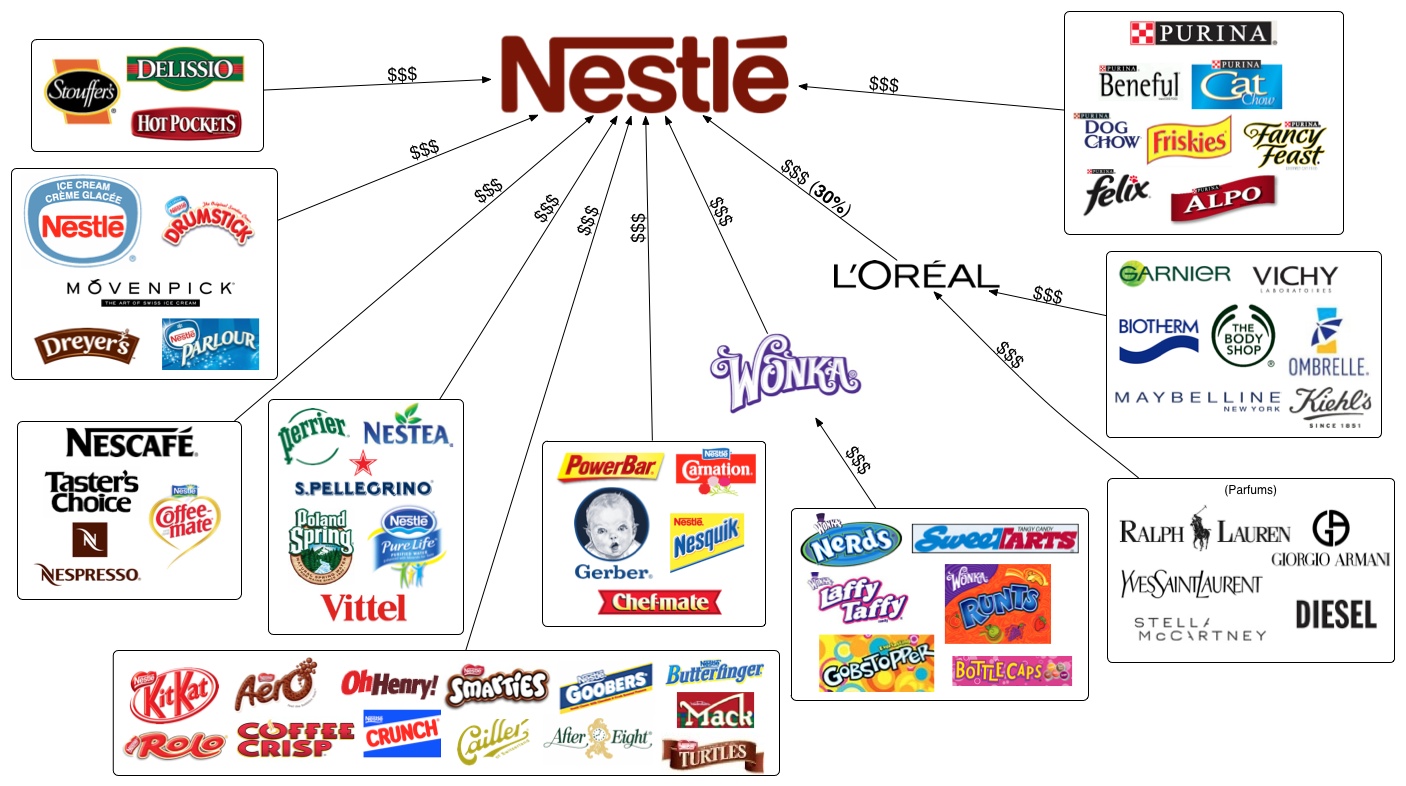 Lineas de productos Netlé